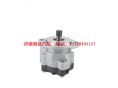0034606280,转向助力泵,济南泉达汽配有限公司