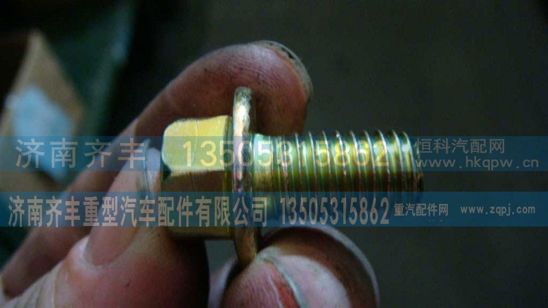 AZ9981340066,AC16轮边盖板六角螺栓,济南铁鹿汽车零部件有限公司