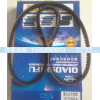 10*1050皮带,10*1050皮带,济南旭朗汽车配件有限公司