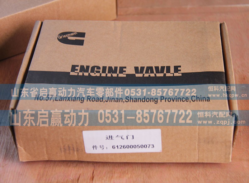 612600050073,进气门,山东省启赢动力汽车零部件