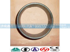 AZ9725520238,平衡轴衬套（07）,济南嘉磊汽车配件有限公司(原济南瑞翔)