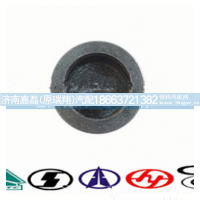 VG1500050105,气门帽,济南嘉磊汽车配件有限公司(原济南瑞翔)