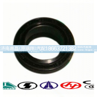 VG1540040022,骨架油封,济南嘉磊汽车配件有限公司(原济南瑞翔)