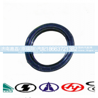 VG1560080022-YF,国产高压油泵带K型调速器油封,济南嘉磊汽车配件有限公司(原济南瑞翔)
