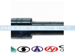VG1560080276-1,喷油器总成,济南嘉磊汽车配件有限公司(原济南瑞翔)