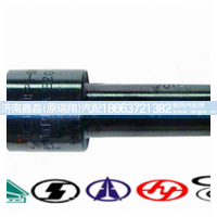 VG1560080276-1,喷油器总成,济南嘉磊汽车配件有限公司(原济南瑞翔)