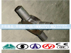 AZ9231320223,差速器十字轴（中桥),济南嘉磊汽车配件有限公司(原济南瑞翔)