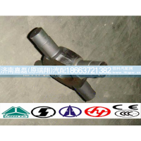 AZ9231320223,差速器十字轴（中桥),济南嘉磊汽车配件有限公司(原济南瑞翔)