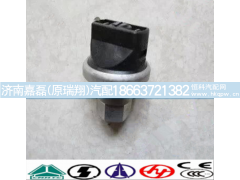 WG1200190040,空滤器堵塞开关,济南嘉磊汽车配件有限公司(原济南瑞翔)