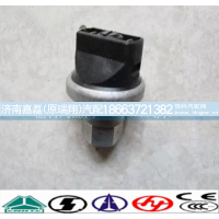 WG1200190040空滤器堵塞开关