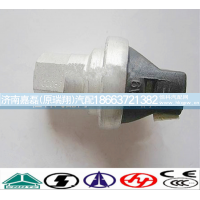 WG1200190040,空滤器堵塞开关,济南嘉磊汽车配件有限公司(原济南瑞翔)