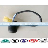WG9719710002,熄火开关 制动开关,济南嘉磊汽车配件有限公司(原济南瑞翔)