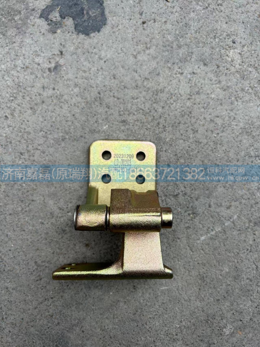 810W62690-6061/汕德卡 T5G车门铰链 左下