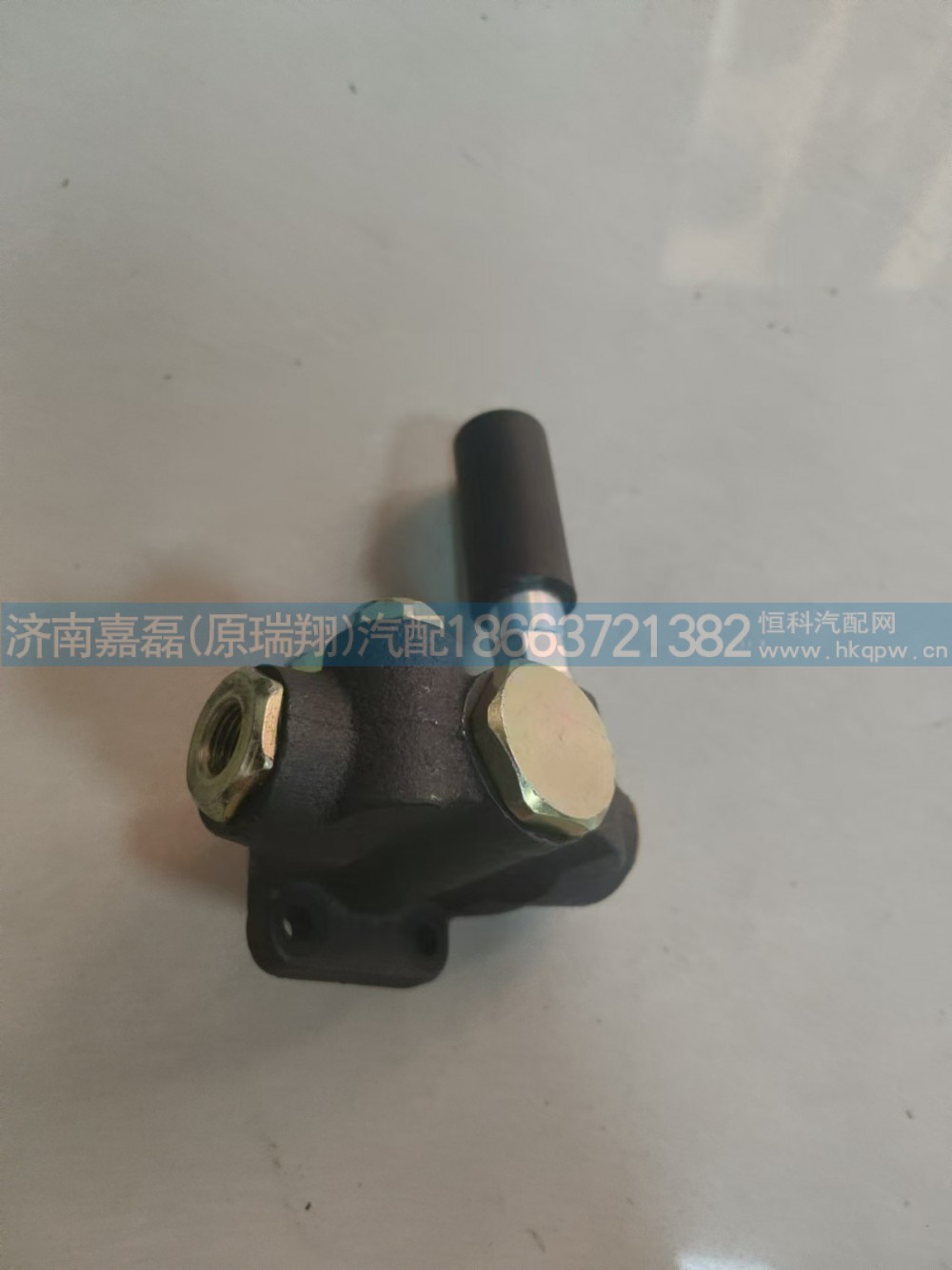 612600080338斯太尔王输油泵