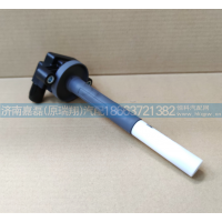 202V25919-6003点火线圈总成（MT13 改进型)