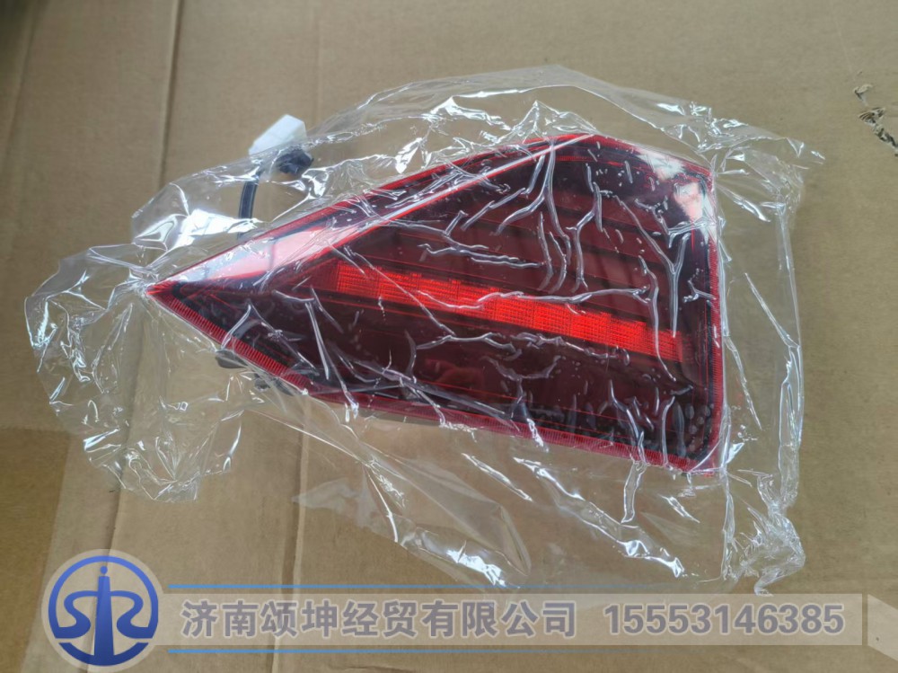 10017384    后组合灯背门总成