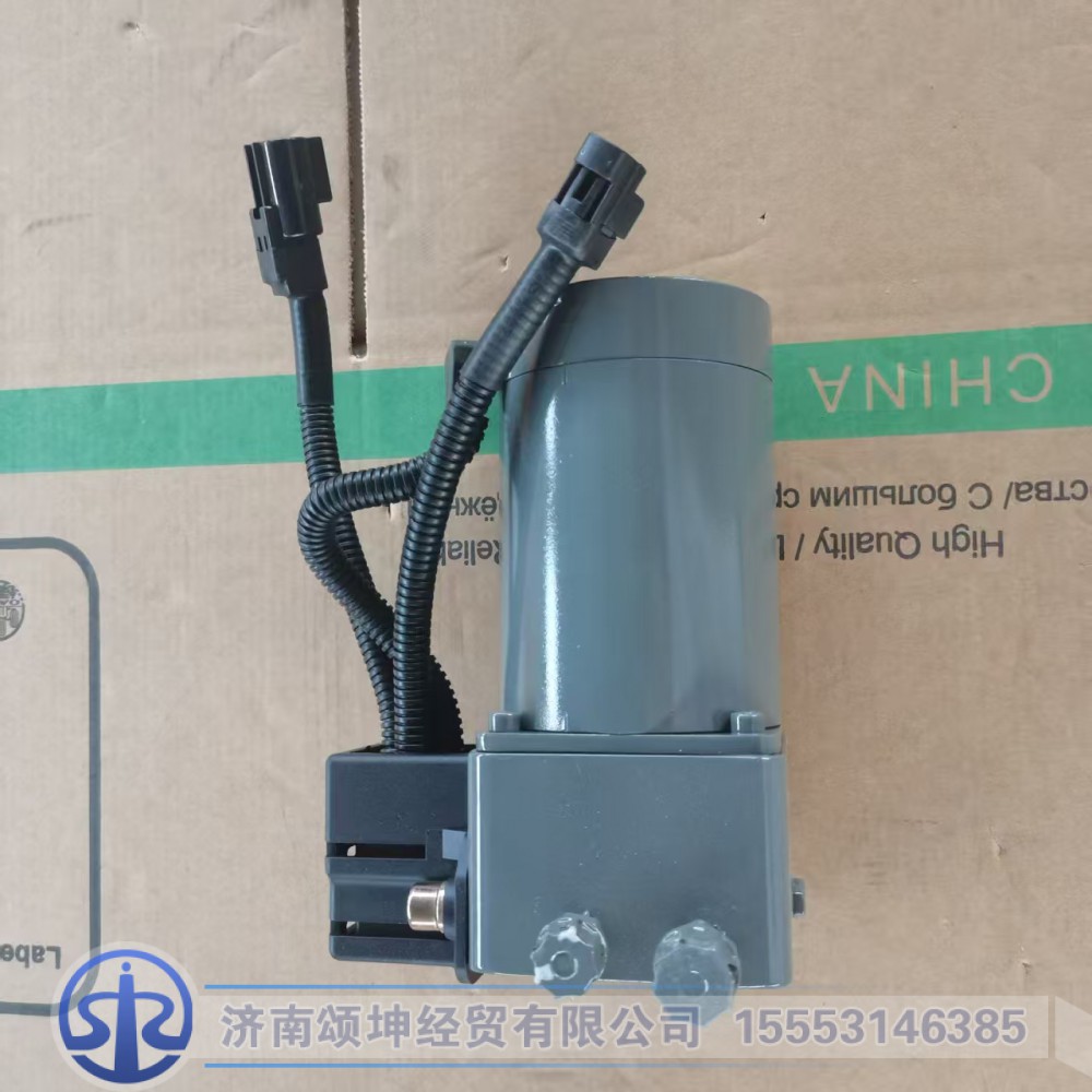 WG9925821031   电机总成