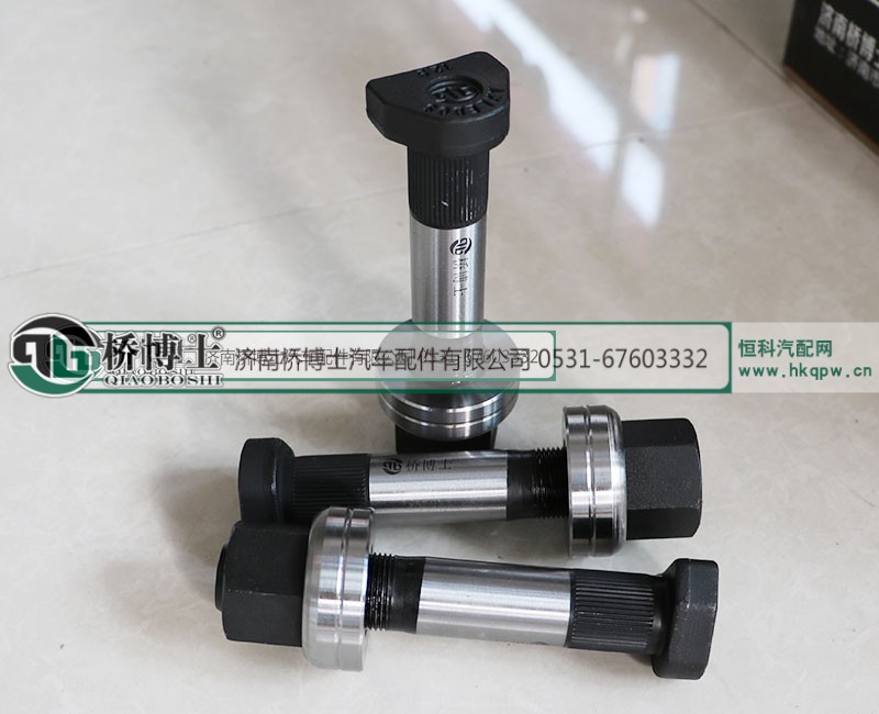 ,轮胎螺丝,济南桥博士汽车配件有限公司