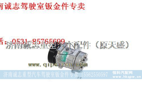 DZ11241845501,,济南诚志重型汽车驾驶室钣金件专卖