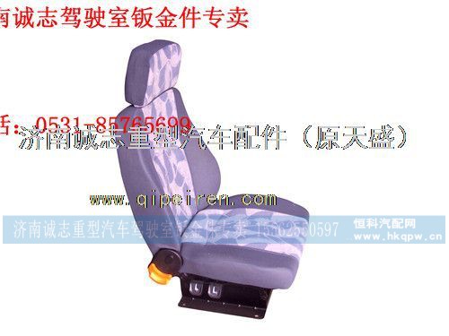 DZ13241510012,,济南诚志重型汽车驾驶室钣金件专卖