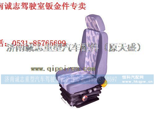 DZ13241510010,,济南诚志重型汽车驾驶室钣金件专卖