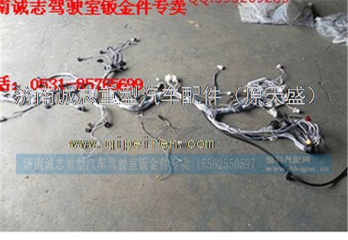 DZ95189772600,,济南诚志重型汽车驾驶室钣金件专卖