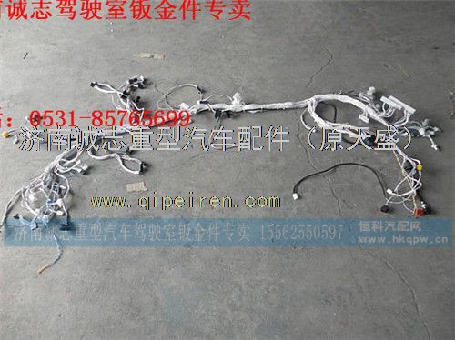 DZ95189772690,,济南诚志重型汽车驾驶室钣金件专卖