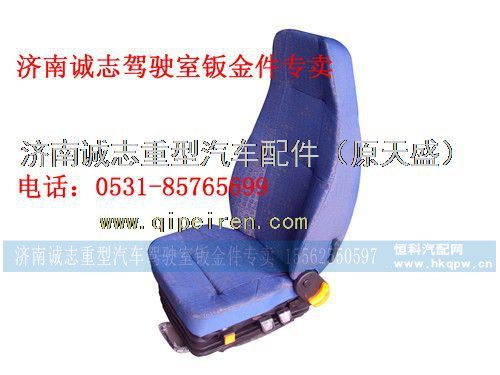 AZ1646510021,,济南诚志重型汽车驾驶室钣金件专卖