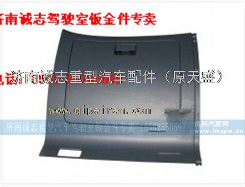 NZ1651160338,,济南诚志重型汽车驾驶室钣金件专卖