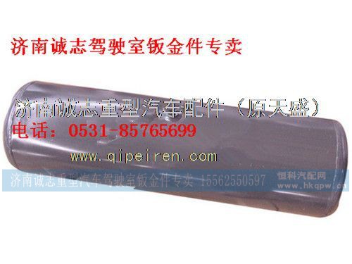 WG9003550098,,济南诚志重型汽车驾驶室钣金件专卖