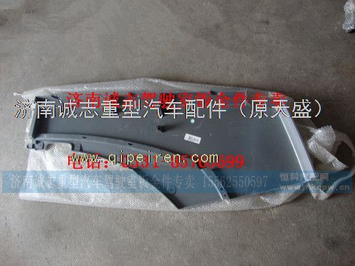 WG1664231008,,济南诚志重型汽车驾驶室钣金件专卖