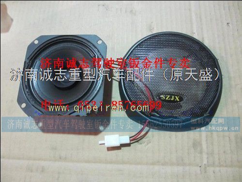 PW10G?/06X,,济南诚志重型汽车驾驶室钣金件专卖