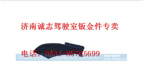 WG1661231009?/1008,,济南诚志重型汽车驾驶室钣金件专卖