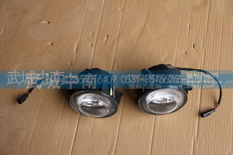 WG9925721009/10,左/右雾灯T5G,济南武城重型车外饰件厂
