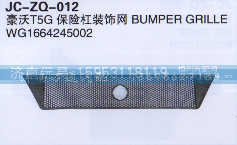 WG1664245002,T5G保险杠装饰网,济南沅昊汽车零部件有限公司