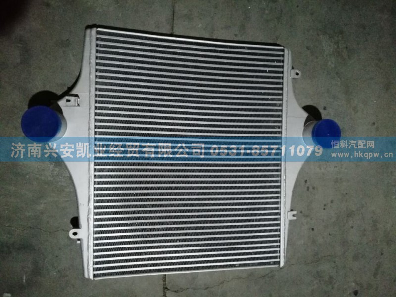 DZ95259531502,中冷器总成,济南兴安凯业经贸有限公司
