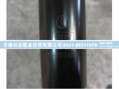 81.41722.6036,陕汽德龙驾驶室横向减震器 减震器总成,济南兴安凯业经贸有限公司