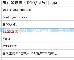 VG1096080010,喷油器,济南新动力增压器有限公司