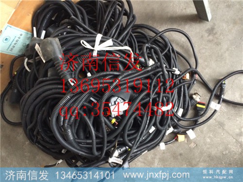 WG1034121341 SCR,WG1034121341 SCR线束总成,济南信发汽车配件有限公司