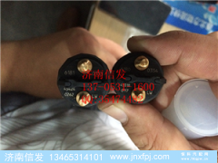 0445120035 博世喷油器,0445120035 博世喷油器,济南信发汽车配件有限公司