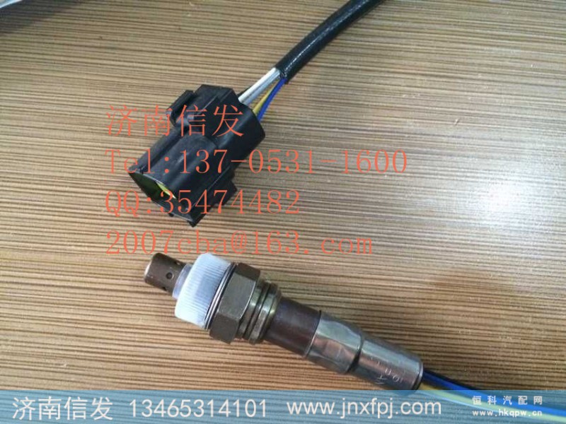 4001675 氧浓度传感器