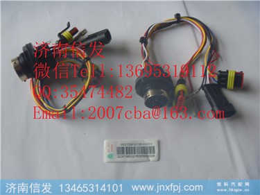 尿素泵泵体内线束 配1181  WG1034121181+007  重汽豪沃国四,尿素泵泵体内线束 配1181  WG1034121181+007  重汽豪沃国四,济南信发汽车配件有限公司