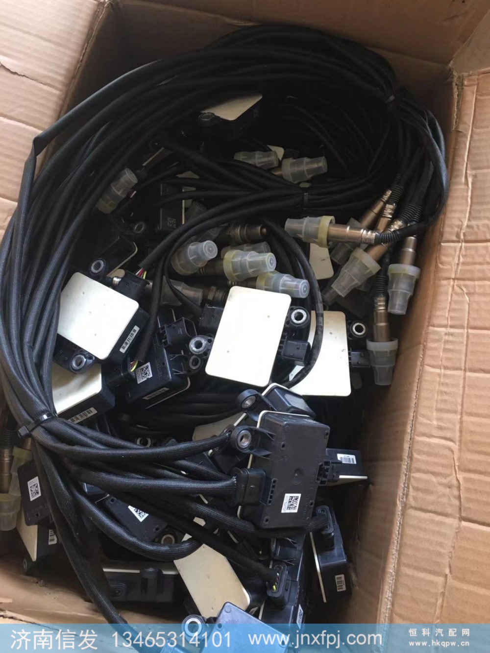 WG1034121035 PM传感器 24V