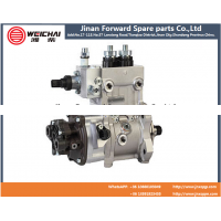 612630030057高压油泵The oil pump