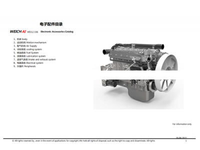 WD12    WP12,Electronic Accessories Catalog,济南向前汽车配件有限公司