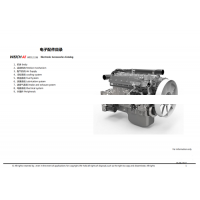 WD12    WP12,Electronic Accessories Catalog,济南向前汽车配件有限公司
