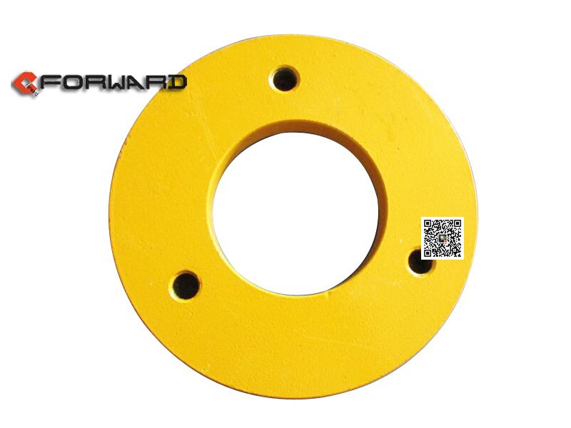 310700018,Friction plate,济南向前汽车配件有限公司