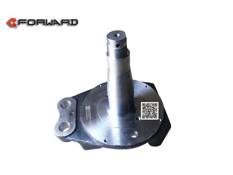 AZ9100410055,Steering knuckle,济南向前汽车配件有限公司