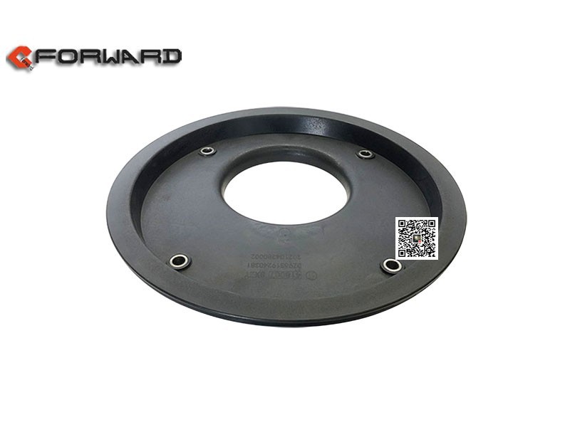 DZ96319240381,Heat cushion (eccentric),济南向前汽车配件有限公司