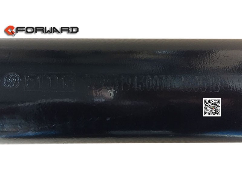 DZ95319430070,Steering cylinder assembly,濟(jì)南向前汽車配件有限公司